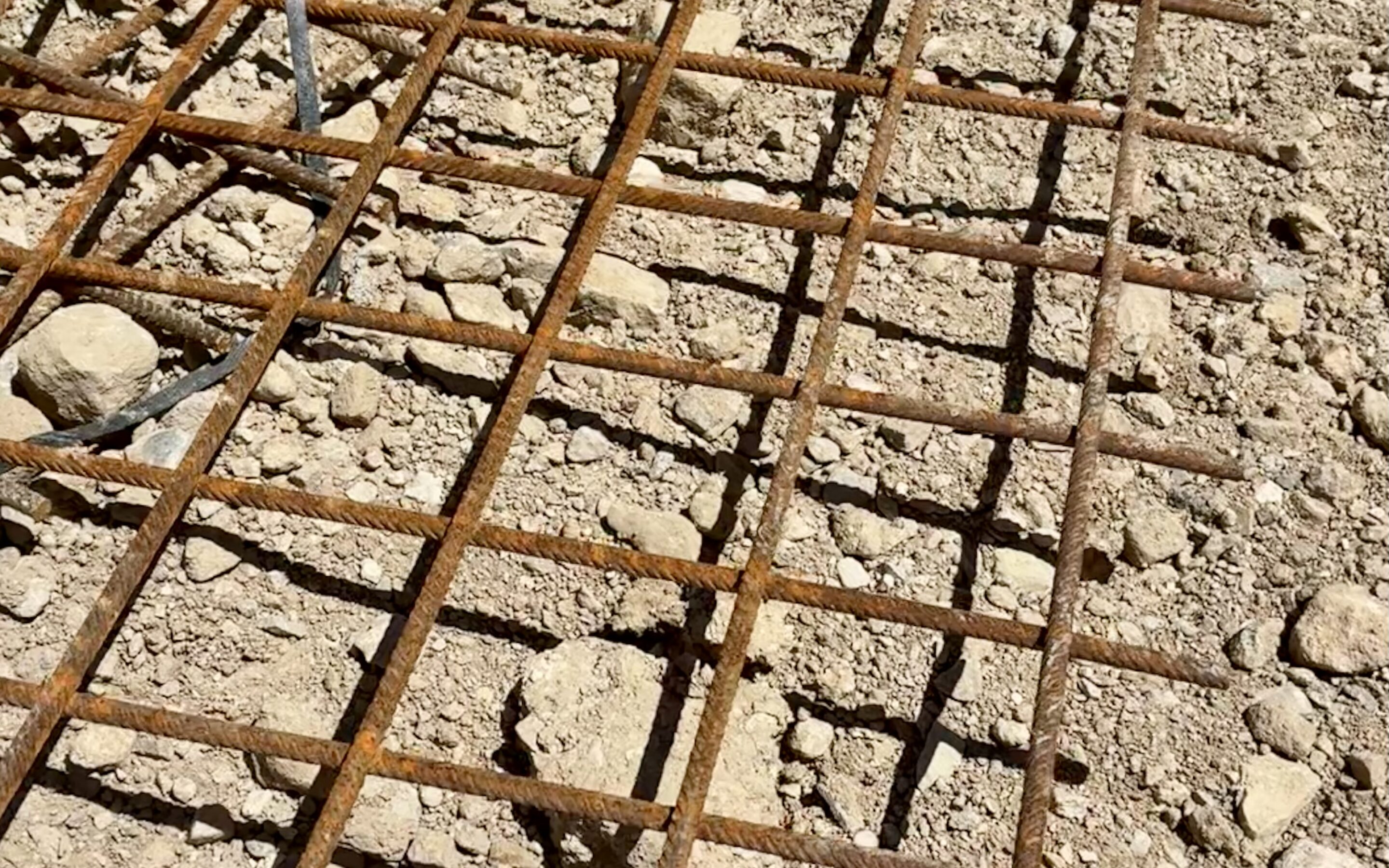 IMG_2140 réseaux humides